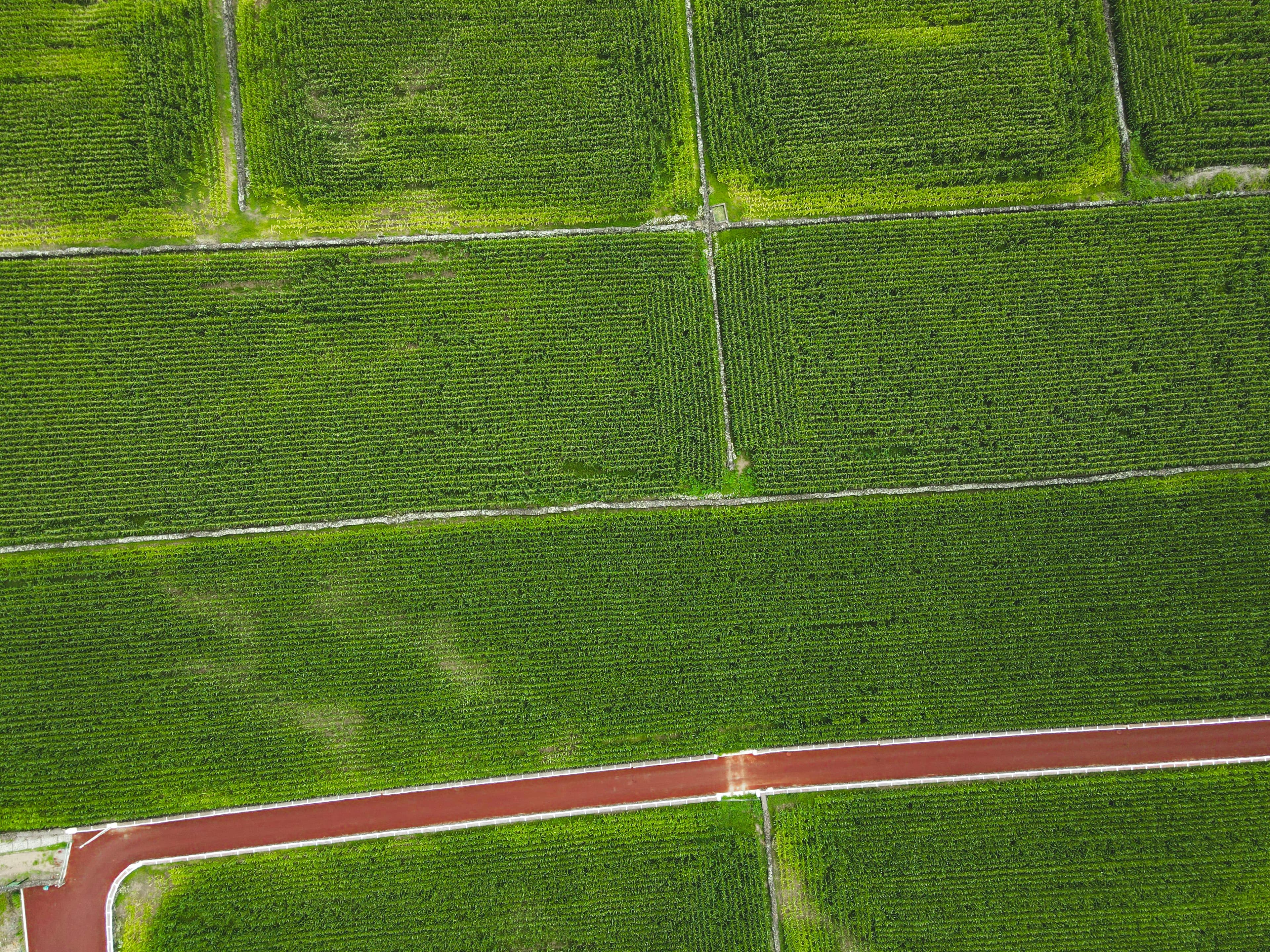 Farm satellite
